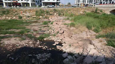 Kızılırmak’a renk katan ırmak sazlıklara teslim oldu