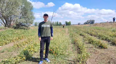 O hem üretiyor, hem okul harçlığını çıkartıyor