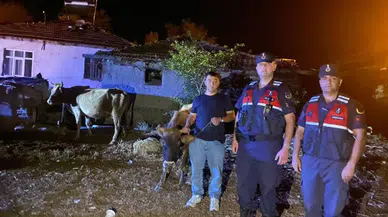 Çiftçinin Umutla Beklediği Haber Jandarmadan Geldi