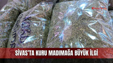 Sivas’ta kuru madımağa büyük ilgi