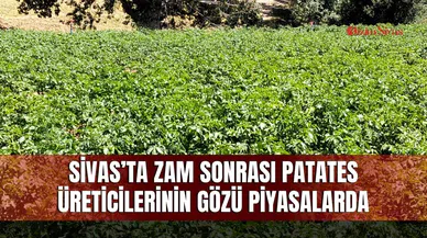 Sivas’ta zam sonrası patates üreticilerinin gözü piyasalarda