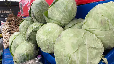 Sivas Lahanasını Diğerlerinden Ayıran O 3 Kritik Fark!