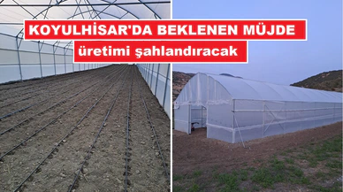 Koyulhisar çiftçisinin beklediği müjde geldi: Yeni dönem başladı