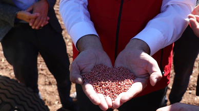 Sivas tarımında yeni sayfa: 7 noktada stratejik denemeler