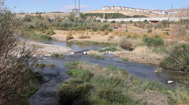 Kızılırmak'ta gözle görülür azalma: Rakamlar alarm veriyor