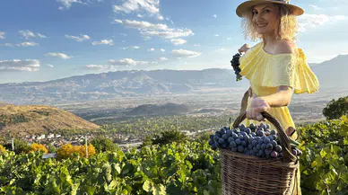 Bir üzümden daha fazlası: Sağlık, tarih ve ekonomi sepette