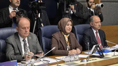 Sivas’ın gözbebeği alanlar yasal güvence altına alındı