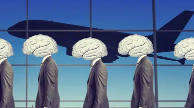 Beyin göçü korkutuyor! En fazla o bölüm mezunları yurt dışına gitti