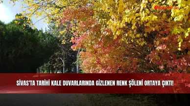 Sivas'ta Tarihi Kale Duvarlarında Gizlenen Renk Şöleni Ortaya Çıktı!