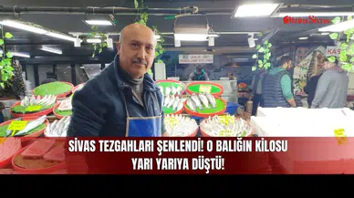 Sivas Tezgahları Şenlendi! O Balığın Kilosu Yarı Yarıya Düştü!