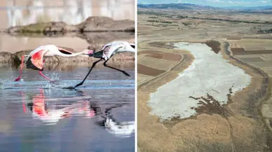 Sivas'ın Yanı Başında! Kuşların Dans Ettiği Cennetten Geriye Bu Kaldı!