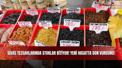 Sivas Tezgahlarında Stoklar Bitiyor! Yeni Hasatta Don Vurgunu!