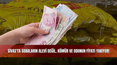 Sivas'ta sobaların alevi değil, kömür ve odunun fiyatı yakıyor!