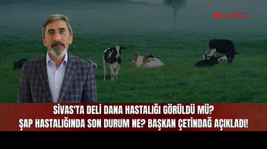 Sivas'ta Deli Dana Hastalığı Görüldü mü? Şap Hastalığında Son Durum Ne? Başkan Çetindağ Açıkladı!