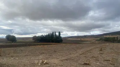 Yağmurun Ardından Tarlalar Ekin İçin Hazır Hale Geldi