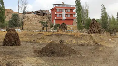 Tezek, Kömür ve Odunun Tahtını Sallıyor