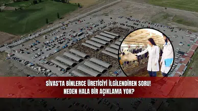 Sivas'ta binlerce üreticiyi İlgilendiren soru! Neden hala bir açıklama yok?