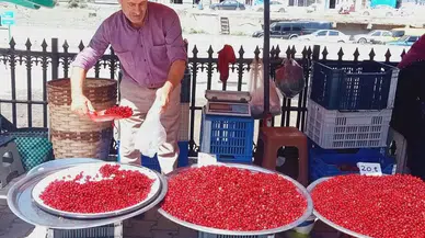 Köylülerin ormandan topladığı bu meyve altın değerinde