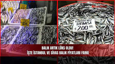 Balık Artık Lüks Oldu! İşte İstanbul ve Sivas Balık Fiyatları Farkı