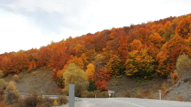 O Geçitte Renk Cümbüşü Yaşanıyor! Bu Manzarayı Kaçırmayın!