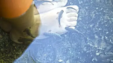 Yurt Dışından Bile Akın Ediyorlar! Sivas’ın Şifalı Mucizesi