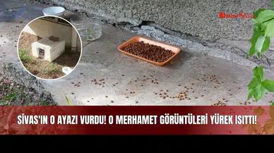 Sivas'ın O Ayazı Vurdu! O Merhamet Görüntüleri Yürek Isıttı!