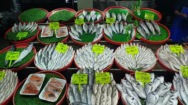 Sivaslılar Kışın Şifayı Balıkta Buldu!