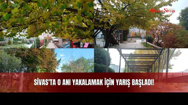 Sivas'ta O Anı Yakalamak İçin Yarış Başladı!