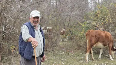 Komşuda kuraklıktan çobanlar suyun izini arıyor