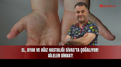 El, ayak ve ağız hastalığı Sivas'ta çoğalıyor! Aileler dikkat!