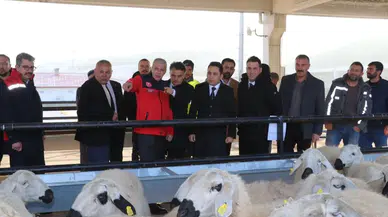 Sivas Yıldızeli’nde üreticiyi sevindiren dağıtım