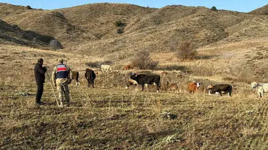 Jandarma'dan çobanı mutlu eden sonuç