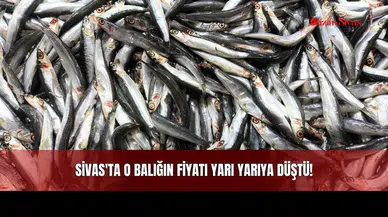 Sivas'ta O Balığın Fiyatı Yarı Yarıya Düştü!