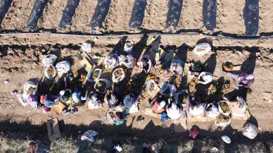 200 Kişiye Yeni İş Kapısı! Kırmızı Altın Projesi Bölge Ekonomisine Can Suyu Olacak!