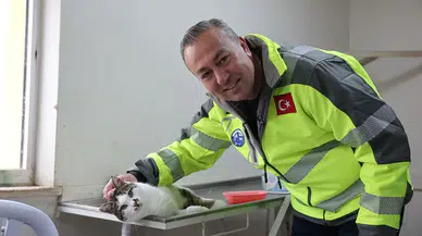 Sivas'ın dışında değil kalbinde hayvanlara yeni yaşam alanı