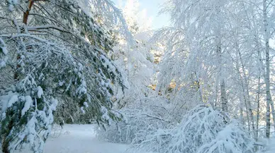 Sivas'taki Şiddetli Kar Yağışı 69 Yerleşim Yerine ulaşımı Durdurdu!