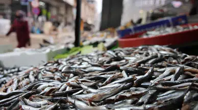 Hem Sağlıklı Hem Ekonomik: Soğuk Havada Balık Satışları Patladı