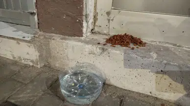 Sivas'ta Soğuklara İnat Yürek Isıtan Bir Direniş Başladı