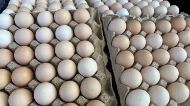 Yerel Üretici Direniyor, İthal Ürünler Yükselişte!