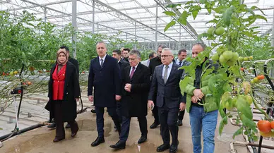 Sivas’ta Çöpten Elektrik, Isıdan Domates: Türkiye’ye Örnek Tesis