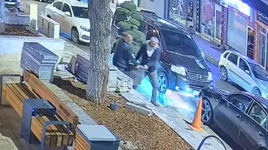 Ağacı çaldılar! Bu kadarına da pes...