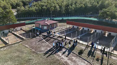 Sivas Kangal’ın sırrı bu merkezde saklı: Dünyadan ziyaretçi akını