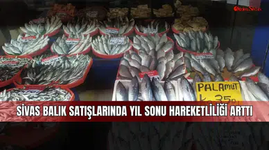 Sivas balık satışlarında yıl sonu hareketliliği arttı