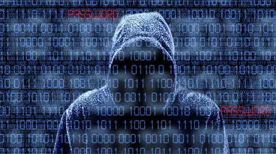 Siber Suçlara 24 İlde Büyük Darbe! Sivas da Var!