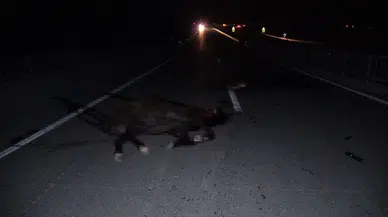 Milyonluk Değerler Yolda Can Verdi