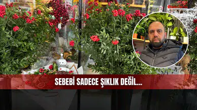 Sivas’ta Bu Yılbaşında Herkesin Elinde O Vardı! Sebebi Sadece Şıklık Değil...