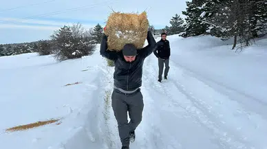Sivas'ta Kar Altında Kalan Canlar İçin Seferberlik