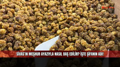 Sivas’ın Meşhur Ayazıyla Nasıl Baş Edilir? İşte Şifanın Adı!