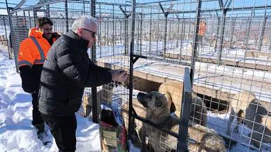 Sivas Valisi'nden -20 Derecede Barınak Ziyareti