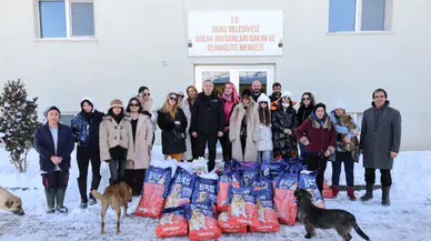 Sivas’ta Can Dostlara 1 Ton Mama Desteği: Hayvanseverlerden Örnek Dayanışma